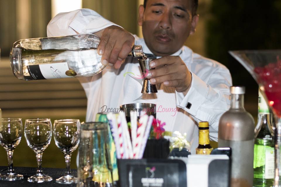 Bartender profesional