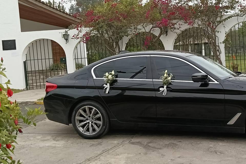 Auto de lujo BMW 520i Año 2020