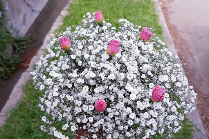 Bouquet de gipsofila (lluvia)