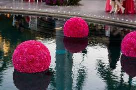 Bolas de rosas - piscina