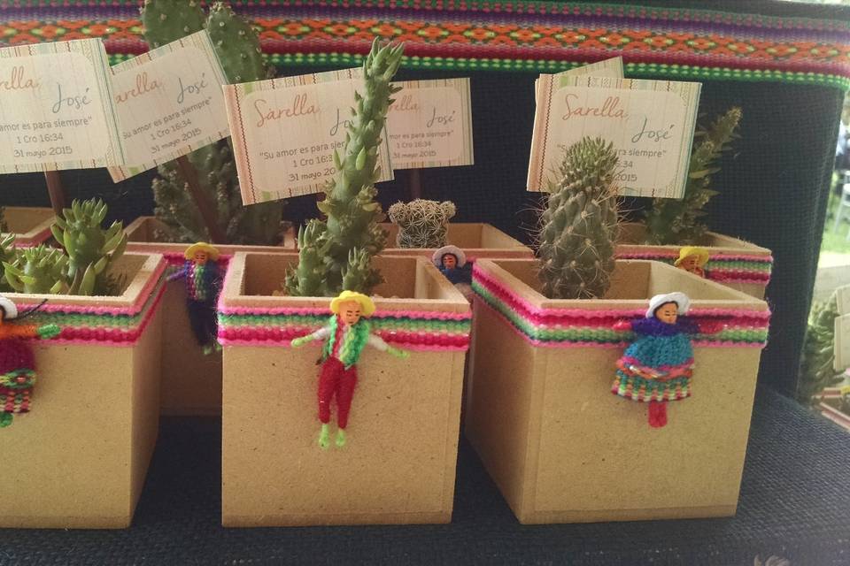 Suculentas - decoración andina