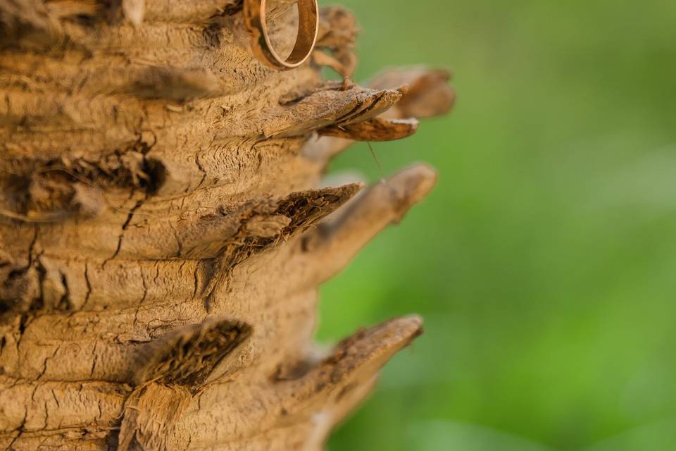 Detalles de la boda