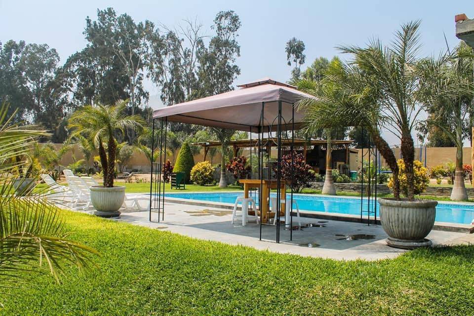 Pergola en la piscina