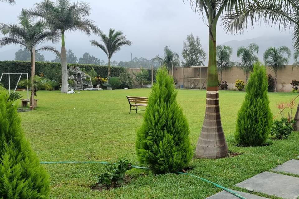 Jardín