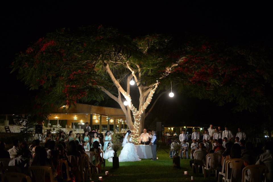 La boda perfecta