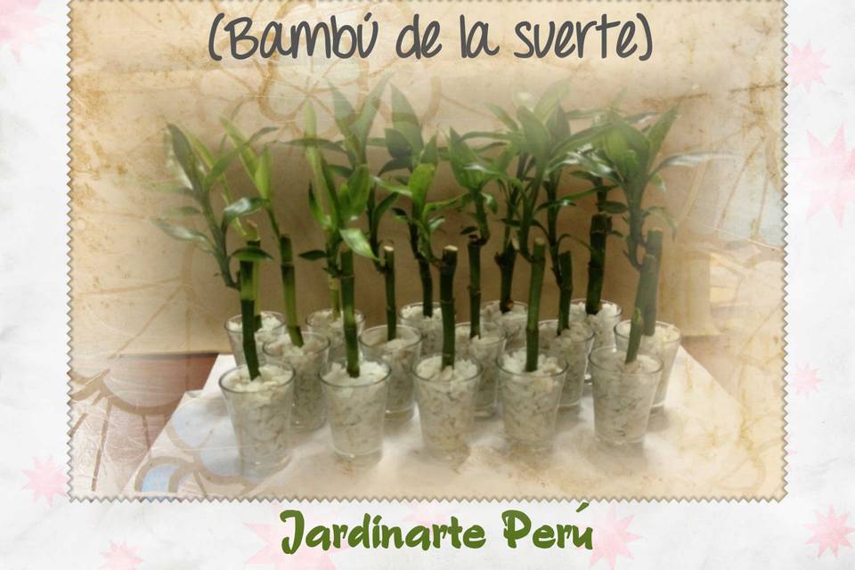 Jardinarte Perú