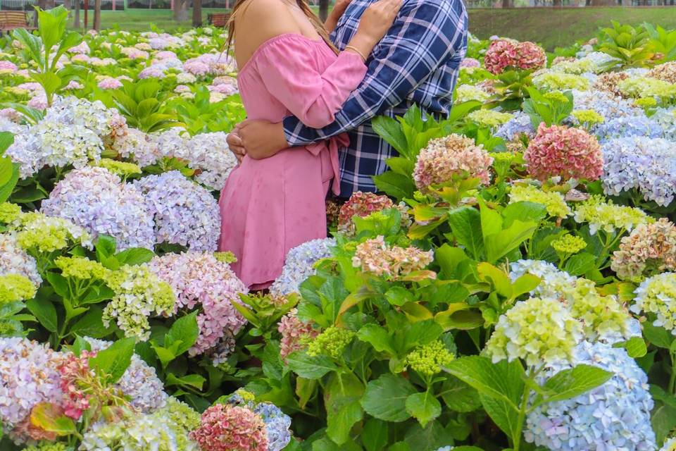 Pre - boda en el bosque