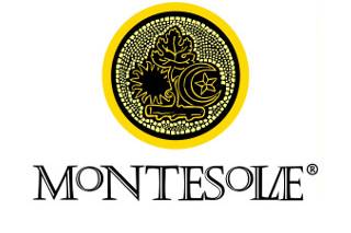 Montesole Perú logo