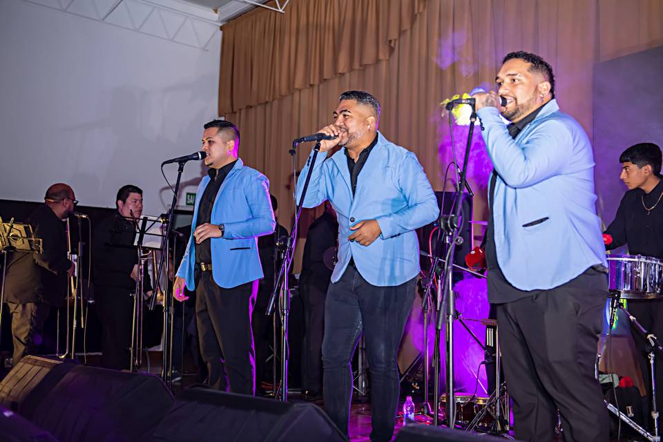Dipayma Producciones
