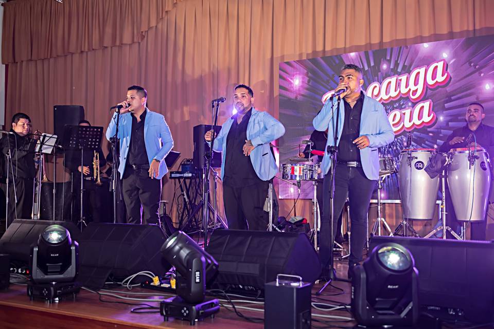 Dipayma Producciones